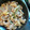 と★ま★れ's cooksnap of when they made 豚こま肉の甘口しょうが焼き.
