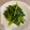 けちのしん's cooksnap of when they made 簡単！小松菜のガーリック炒め.