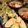 ひっこ's cooksnap of when they made うどの天ぷら.