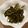 milkmiku39's cooksnap of when they made 空芯菜の炒め物.