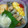 sakkie4649's cooksnap of when they made さば缶残り 竜田揚げ.