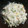 ピノシャルドネ's cooksnap of when they made うまいうまい！里芋のカラシ味噌マヨサラダ.