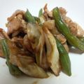 キャラメルリボン's cooksnap of when they made お弁当☆豚肉いんげんネギの甜面醤炒め.