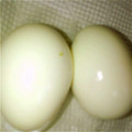 くまさん0402's cooksnap of when they made 絶対に殻がつるんっ♪と剥けるゆで卵☆.