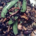 らびそうた's cooksnap of when they made つるっと旨い♪ひじきの煮物.