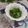 クックHG9V8Y☆'s cooksnap of when they made 菜の花のしらすあえ❀.