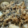 ささ☆ぼう's cooksnap of when they made ひじき入り♪ポテトサラダ.