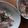 kyoko＊k's cooksnap of when they made もみもみ♪梅と長いも.
