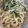 sapyo's cooksnap of when they made 簡単☆水菜とツナのパスタ＊特製ソース.
