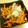 ぽりぽり拓庵's cooksnap of when they made マイタケと人参炒め.