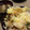 とかげ2319's cooksnap of when they made かき揚げ丼.