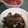 monana0327's cooksnap of when they made 簡単♪　おうちできゅうりのQ～君.