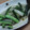 はるるまりり's cooksnap of when they made 箸やすめに☆大根ときゅうりの甘酢ごまあえ.
