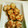 わぁこさん。's cooksnap of when they made ♪椎茸の玉ねぎマヨソースのせ焼き♪.