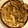 mii☆22's cooksnap of when they made 豚肉とごぼうの塩麹炒め.