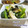 オレンジデイ's cooksnap of when they made ＊小松菜とささみの海苔あえ＊.