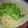 edible's cooksnap of when they made 春待ちほろにが野菜のパスタ.