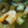 フットサ's cooksnap of when they made えびのアヒージョ.
