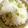 いちご宇治金時's cooksnap of when they made ☆秋満喫☆黒豆枝豆ごはん.