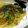 ゆか〇's cooksnap of when they made 楽ちん！納豆パスタ.