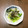 kusu-kusu's cooksnap of when they made もやしと小松菜の簡単ごま和え.