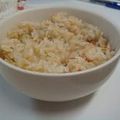 carina's cooksnap of when they made ごぼうご飯.
