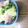 tebocco's cooksnap of when they made 初めての豆苗で炒め物。。。.