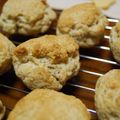 ぽんぽあーる's cooksnap of when they made 特急☆ホットビスケット★ケンタ風のコツ.