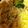ジョージョ。's cooksnap of when they made 美味しい！簡単！豚の生姜焼き☆.