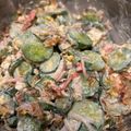 ななみん ママ★★'s cooksnap of when they made 絶品パリパリきゅうりの簡単胡麻マヨサラダ.