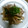 バウンド's cooksnap of when they made ☆彡豚肉とエリンギのあっさり炒め☆彡.
