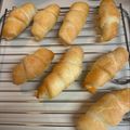 COM☆COM♪'s cooksnap of when they made 簡単成形HB塩パン（強力粉塩ロールパン）.