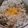 あらら５１９'s cooksnap of when they made 釜揚げしらす丼.