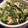 tomokoshiawase's cooksnap of when they made 春菊の卵とじ.