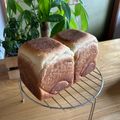 チャロネコ's cooksnap of when they made とっておき 私の基本食パン（角型）.
