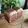 チャロネコ's cooksnap of when they made とっておき 私の基本食パン（角型）.