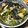 ぺきょぺきょ's cooksnap of when they made 小松菜とうすあげの煮びたし～のり風味～.