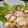 arisa06's cooksnap of when they made 鶏肉にんにく焼き.