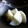 ごごんた's cooksnap of when they made 大根の漬物 （甘酢漬）.