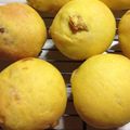 空豆しば's cooksnap of when they made ☺ホシノ酵母☺濃厚マンゴークリームパン☺.