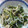デリシャスとら's cooksnap of when they made 切り昆布と白滝の柚子胡椒きんぴら.