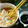 kaonabi's cooksnap of when they made *もやしの中華風和え物*.