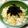 むーたん＊'s cooksnap of when they made 簡単一人ご飯☆汁だくネギたま丼.