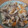 このみん家's cooksnap of when they made シメジの炊き込みご飯.