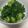 クックE662AA☆'s cooksnap of when they made レンジで2分＊チンゲン菜の中華風おひたし.