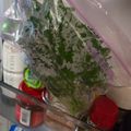 shelly616's cooksnap of when they made NY食堂★スペース不要★大葉の保存.
