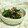 お楽しみのさなぎ's cooksnap of when they made ♣春菊とツナのごまマヨ和え♣.