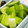 saki1010's cooksnap of when they made 黄金率！浅漬けの素.