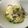 Marmo's cooksnap of when they made 枝豆とキャベツのサラダ.
