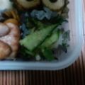 バウンド's cooksnap of when they made もやしとキュウリの胡麻和え.